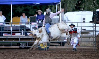 Bulls, Barrels, and Mutton Bustin’