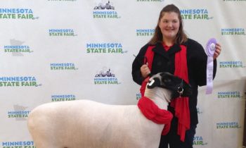 Murray County Family does well at the Minnesota State Fair