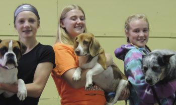 Murray County  results at State 4-H Dog Show