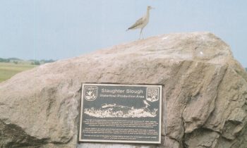 Historical Society Lunchbox Lecture:  Slaughter Slough Waterfowl Production Area