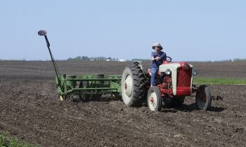 Love of farming practices from a generation or two ago not lost on young