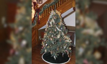 Parade of Trees this Sunday