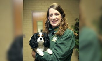 Rebel the Therapy Dog is newest addition to school