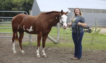 Just ‘Horsin Around’: Posthuma competes at Pinto World