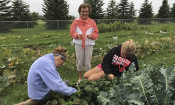 Gardeners end year with pizza party