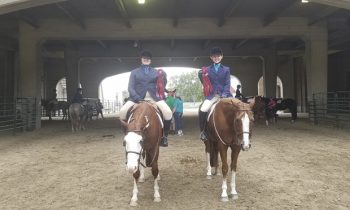 State 4-H Horse Show