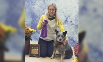 Murray County results at State 4-H Dog Show