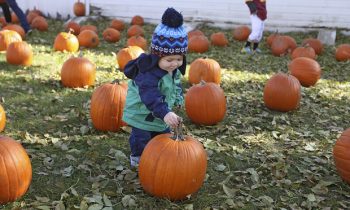 Pumpkinfest 2018