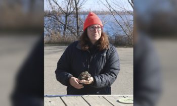 DNR addresses zebra mussels on Lake Sarah