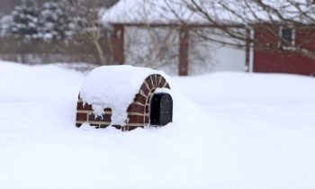 Snow, Snow… and more snow!