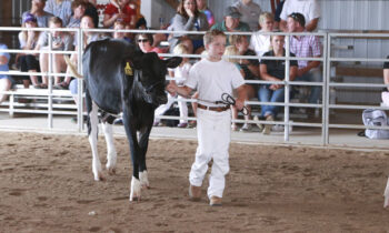 2019 4-H Dairy Show