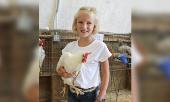 2019 4-H Poultry Show