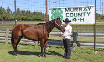 2019 4-H Horse Show Competitors