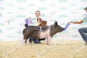 2018 State Fair.Emma Siedschlag-swine