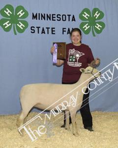 2018 State Fair.Hannah Herrig-sheep