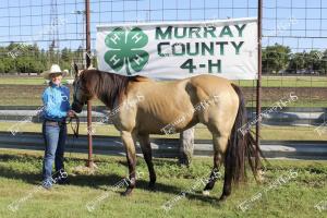 Horse competitors (7 of 24)