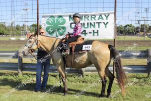 Horse competitors (8 of 24)