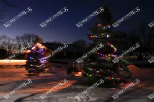 Hospice Tree of Lights (3 of 7)