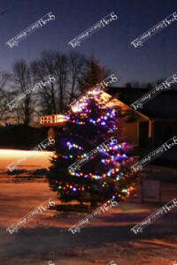 Hospice Tree of Lights (5 of 7)