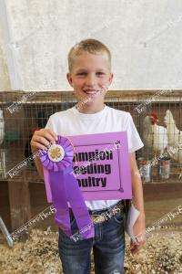 Kramer, Jackson-Champion Breeding Pen