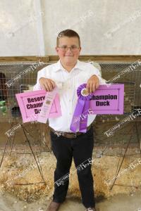 Plaetz, Frederick - Champion:Reserve Ducks