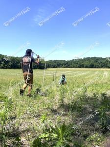 bees.MattKamiyama EmmaDombrow PlantSampling