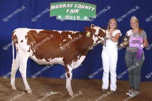 champ. jr dairy.amber post