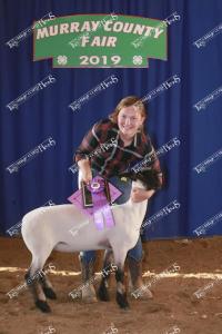 champ.adopt-a-lamb.wahl.natalie