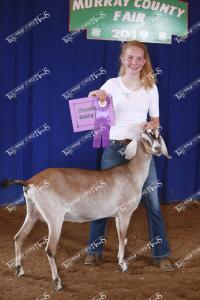 champ.dairy.goat.alyssa.boerboom