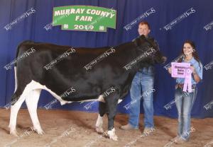 champ.dairy.steer.trevor.giesen