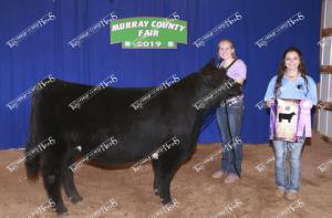 champ.market.heifer.megan.surprenant