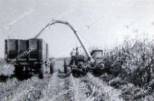 clarence kremer harvest 3984