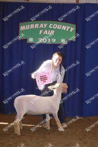 res.champ.breeding.ewe.bridget.herrig