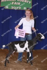 res.champ.dairy.goat.alyssa.boerboom