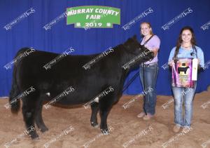 res.champ.market.heifer.megan.surprenant